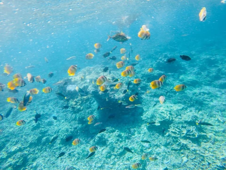 Sealovers' Place Masasa Beach Batangas Ngoại thất bức ảnh