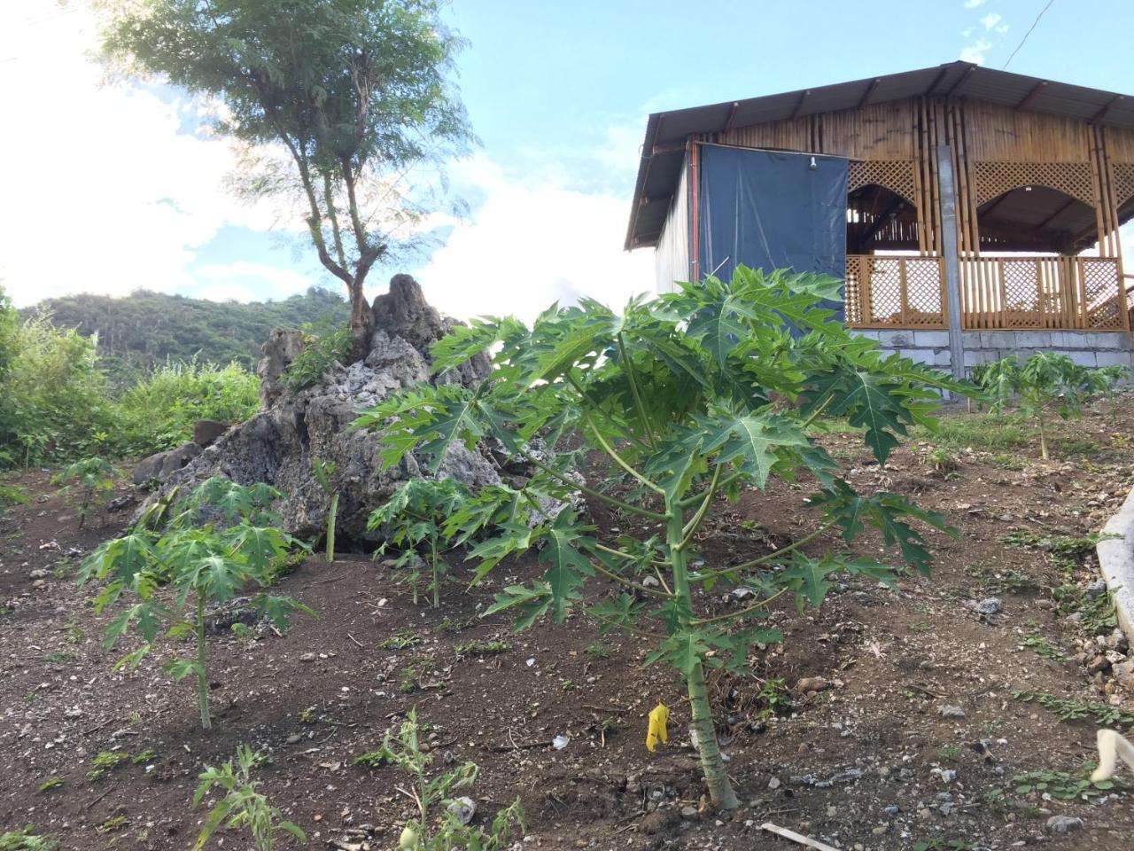 Sealovers' Place Masasa Beach Batangas Ngoại thất bức ảnh
